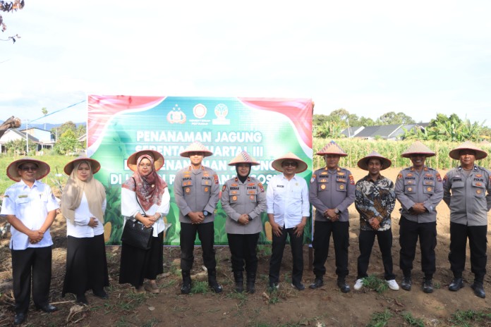 dukung-asta-cita,-polres-limapuluh-kota-tanam-jagung-serentak-di-nagari-koto-tuo