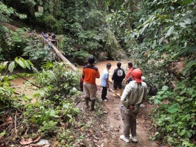 ambruknya-jembatan-kayu-di-cubadak-direspons-bupati,-akan-segera-dibangun-lagi