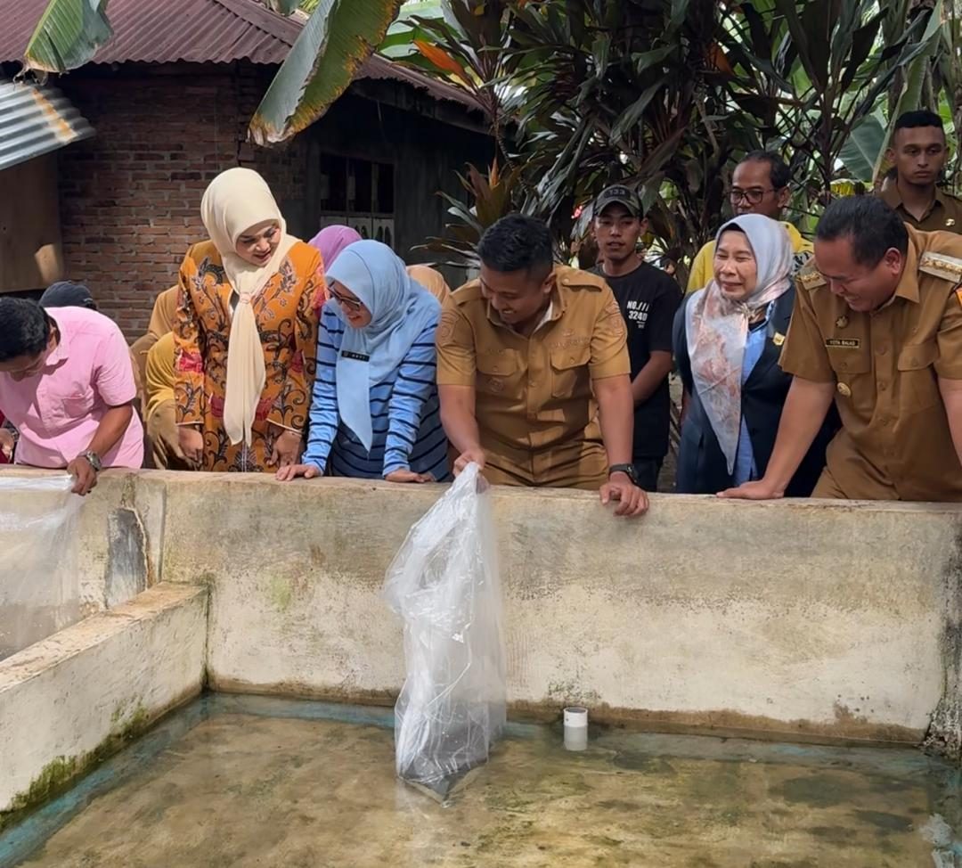 dorong-ekonomi-lokal,-wagub-sumbar-serahkan-induk-unggul-lele-kepada-pembudidaya-di-pariaman