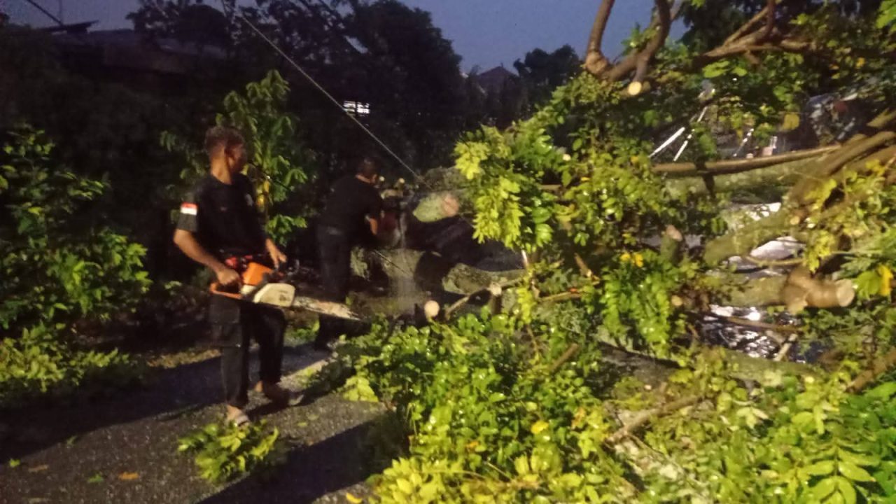 pohon-tumbang-timpa-rumah-warga,-bpbd-padang-imbau-warga-waspada-cuaca-ekstrem