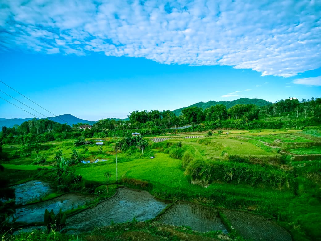 rencana-pembangunan-pltp-di-pandai-sikek-tuai-penolakan