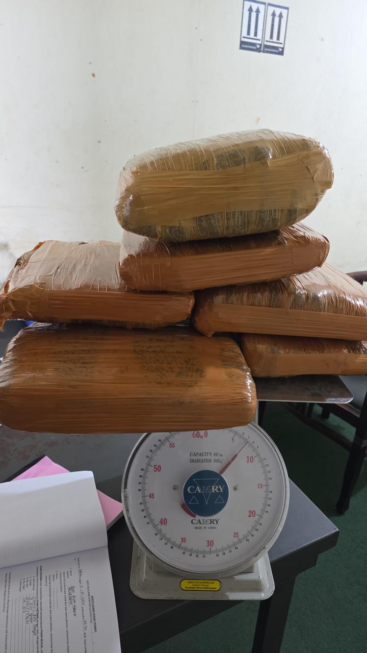 petugas-bim-gagalkan-pengiriman-ganja-7-kg-ke-jakarta