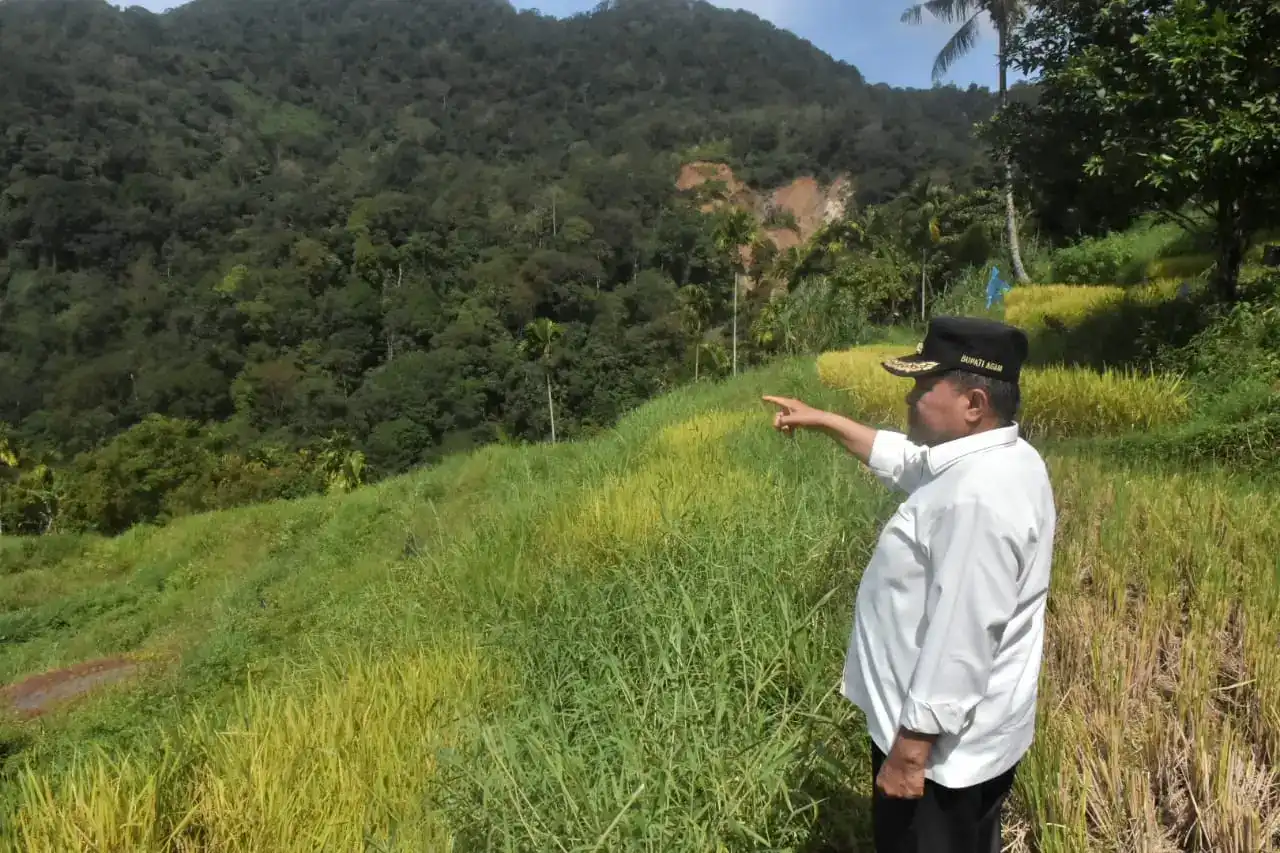 Gambar Berita Semen Padang FC Kejar Poin Demi Hindari Degradasi