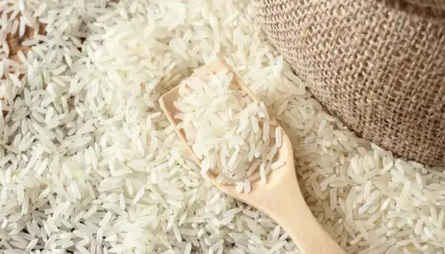 Gambar Berita Rahmat Saleh Dorong Pemberantasan Mafia Tanah Jadi Prioritas 100 Hari Kerja Prabowo-Gibran