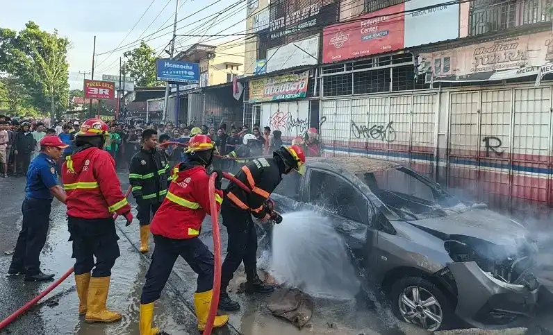 Gambar Berita Petani Padang Bangkit: Menanam Harapan dari Pondok Agroekologi Sawah Lua