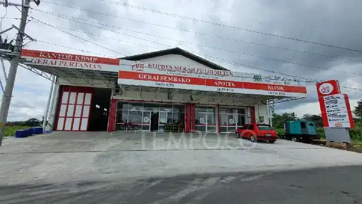 Gambar Berita CFD Padang Panjang Terbang Bersama Flying Fox