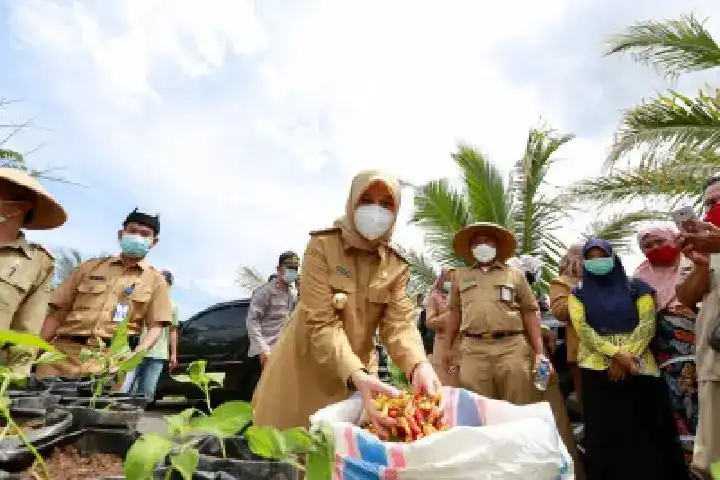 Gambar Berita Taspen Pastikan THR Pensiunan Tepat Sasaran, Penyaluran Nasional Dimulai