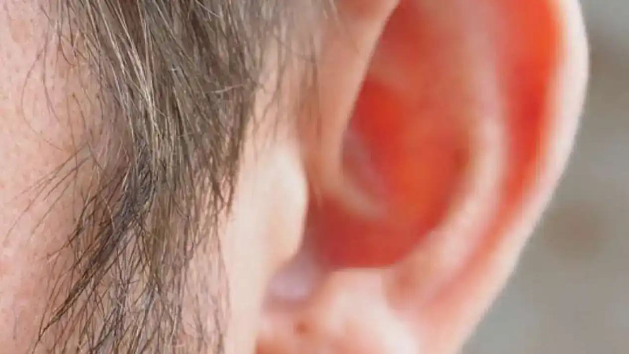 Gambar Berita Kemnaker Minta Perusahaan Terapkan WFH Sehari Seminggu, Jaga Hak Pekerja