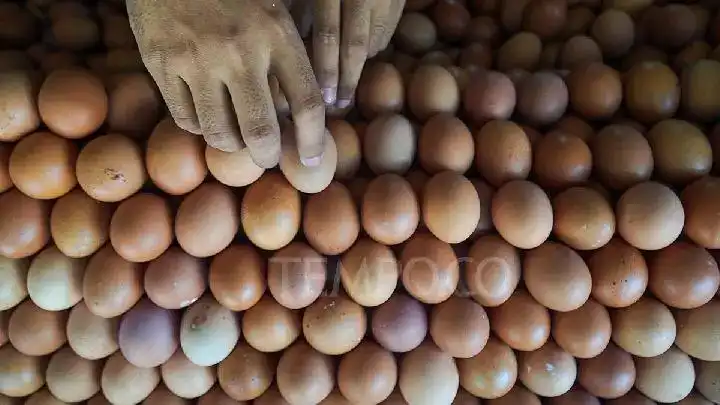 Gambar Berita DPRD Sumbar Pacu UMKM Makanan Tradisional Berkembang