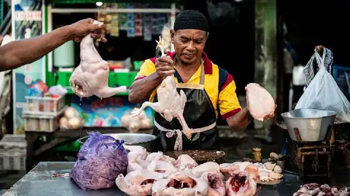 Gambar Berita Padang Berambisi Gelar Porprov Sumbar 2026: Siapkan Venue, Anggaran Jadi Fokus