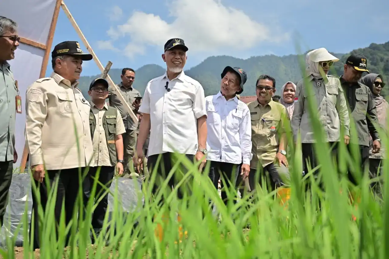 kemendagri-apresiasi-progres-rehabilitasi-lahan-terdampak-bencana-di-sumbar