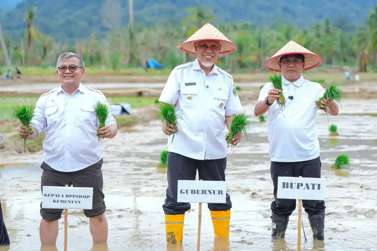tuntas,-rehabilitasi-lahan-rusak-ringan-dan-sedang-pascabencana-di-sumbar