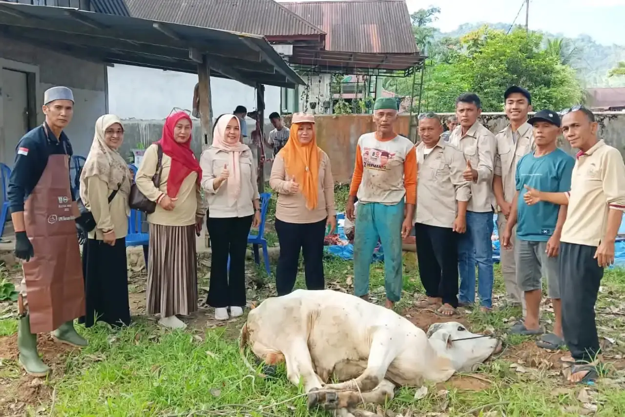 dpw-tani-merdeka-sumbar-sembelih-hewan-kurban-idul-adha-1447-h-di-kecamatan-bungtekab