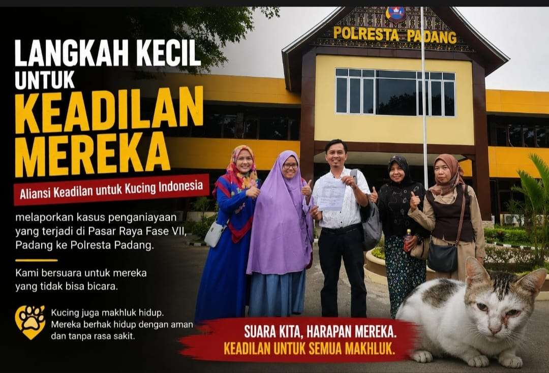 akki-laporkan-kekerasan-terhadap-kucing-di-pasar-raya-padang-ke-polresta