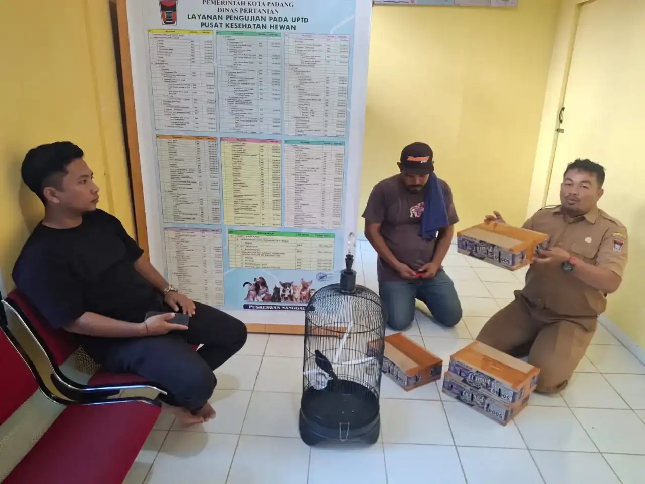 upt-puskeswan-kota-padang-optimalkan-layanan-kesehatan-dan-digitalisasi-satwa