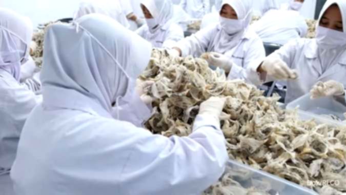 RLCO melaporkan realisasi penggunaan dana IPO Rp57,74 miliar untuk pengadaan persediaan melalui anak usaha