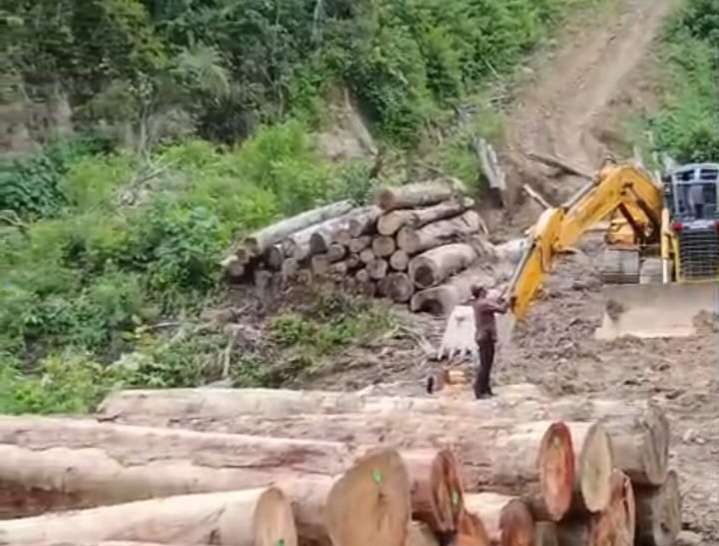 gakkum-kehutanan-bergerak,-pembabat-hutan-ilegal-sariak-bayang-diseret-ke-kajari-solok