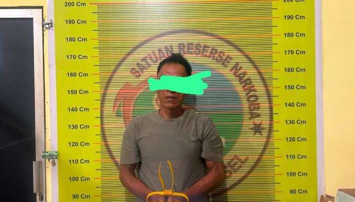 terbukti-mengedar-sabu,-tim-satresnarkoba-polres-pessel-tangkap-dy-di-kampung-pasar-surantih