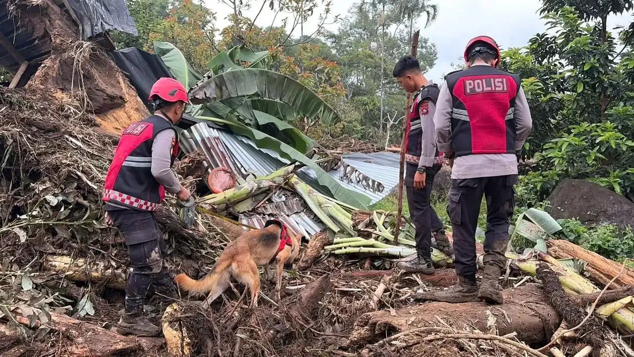 unit-k9-polda-sumbar-temukan-barang-pribadi-korban-galodo-solok