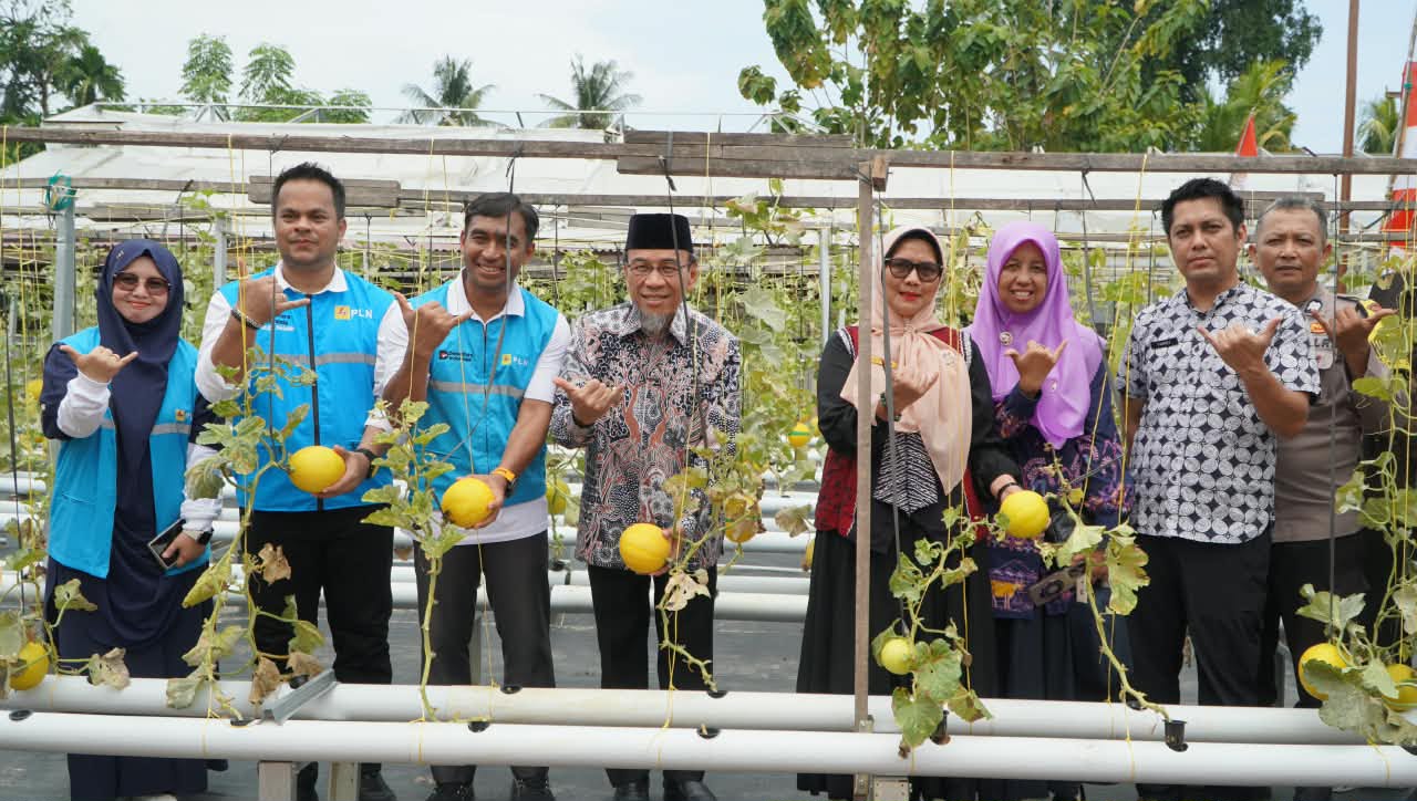 pln-dukung-kube-mego.id-kembangkan-pertanian-melon,-maigus-nasir:-jadi-percontohan-bagi-kelompok-lain