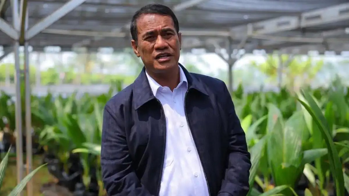 Petani sedang memanen padi di sawah sebagai simbol peningkatan produksi beras dan jagung nasional tahun 2025.